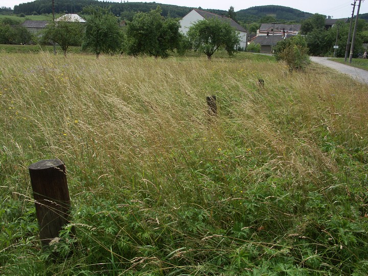 img00023.jpg