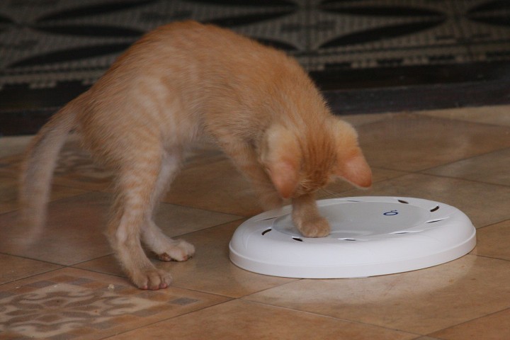 img00002.jpg