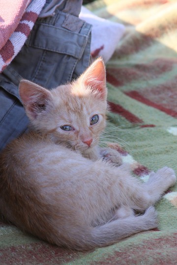 img00004.jpg