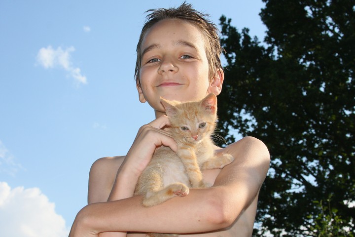 img00007.jpg