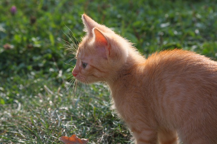 img00023.jpg