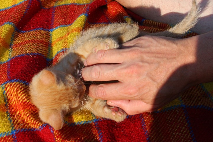 img00025.jpg