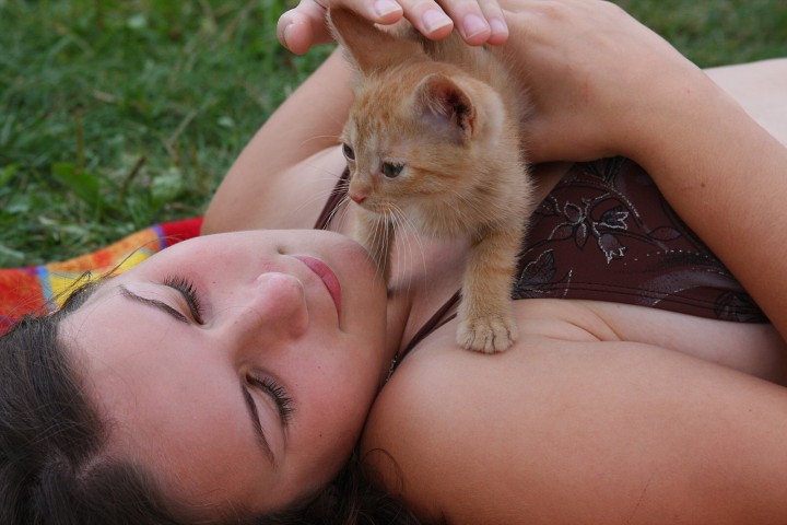 img00052.jpg