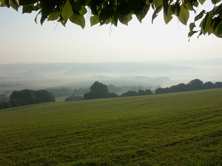 img00052.jpg