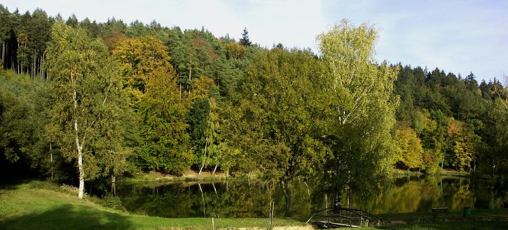 img00090.jpg