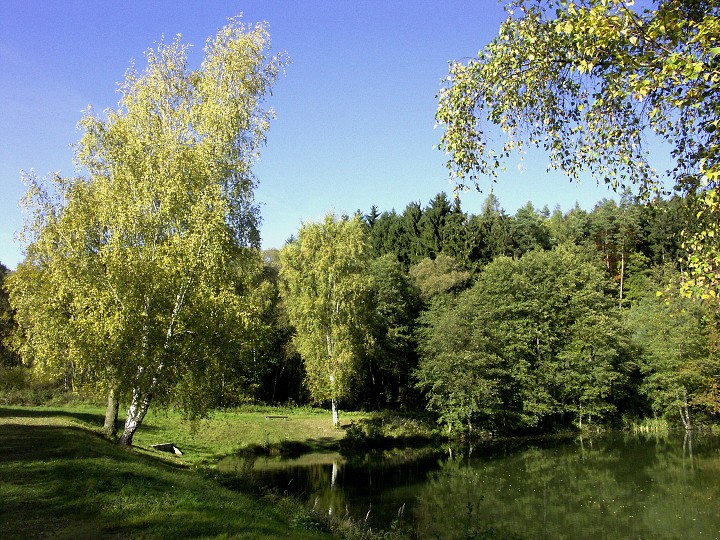 img00092.jpg