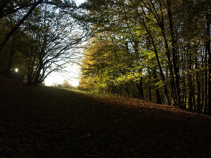 img00102.jpg